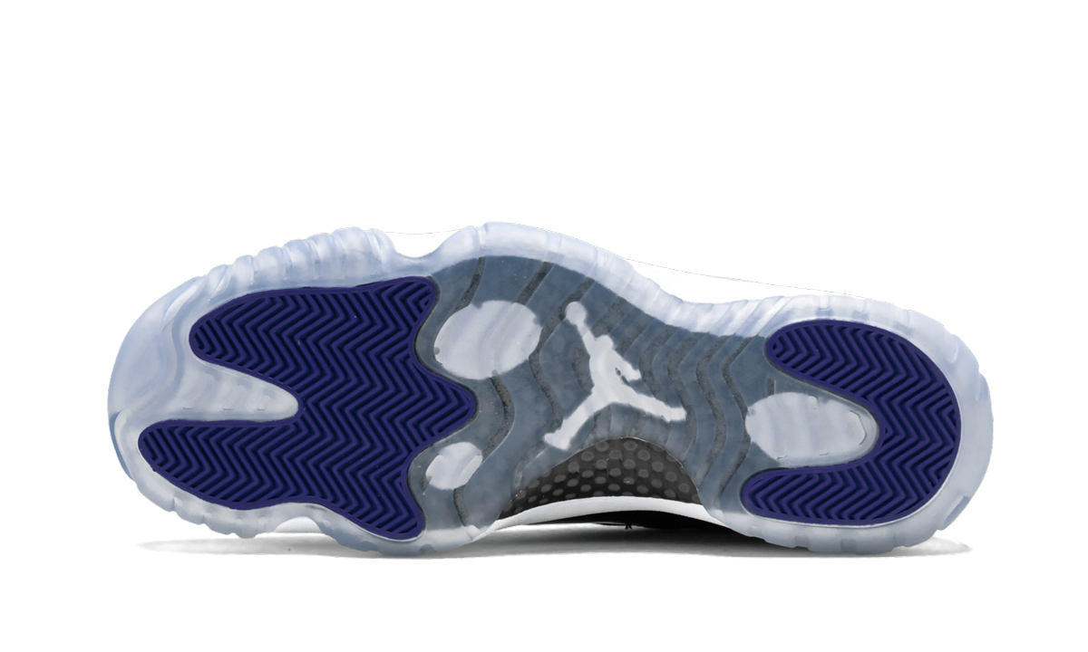 Air Jordan 11 Retro Concord (2018) 2