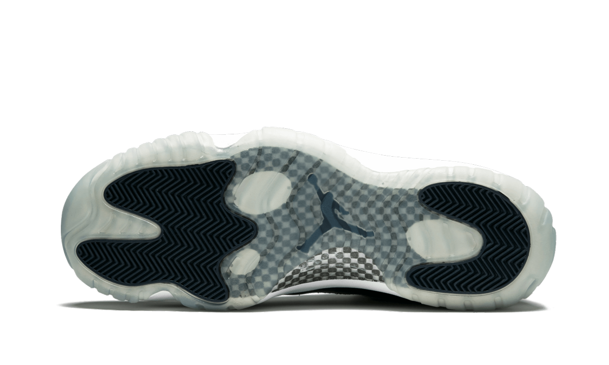 Air Jordan 11 Retro Low Georgetown 2