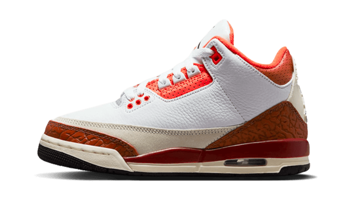 Air Jordan 3 Dunk On Mars 4