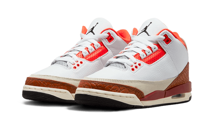 Air Jordan 3 Dunk On Mars 5