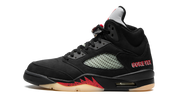 Air Jordan 5 Retro Gore-Tex 1