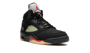 Air Jordan 5 Retro Gore-Tex 2