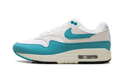 Nike Air Max 1 Dusty Cactus (W) 1