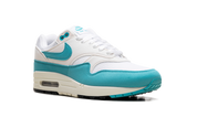 Nike Air Max 1 Dusty Cactus (W) 2