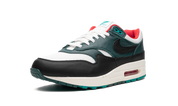 Nike Air Max 1 Liverpool LeBron James