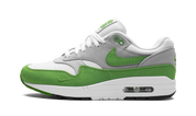 Nike Air Max 1 Patta Chlorophyll (2024) 9