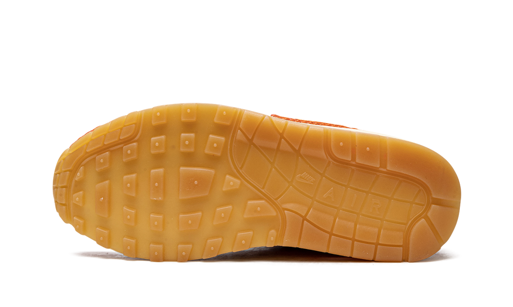 Nike Air Max 1 PRM Somos Familia (W)