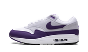 Nike Air Max 1 SC Field Purple 1