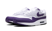 Nike Air Max 1 SC Field Purple 3