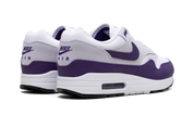 Nike Air Max 1 SC Field Purple 4