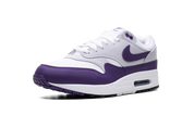 Nike Air Max 1 SC Field Purple 5