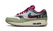Nike Air Max 1 SP Concepts Mellow 1