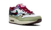 Nike Air Max 1 SP Concepts Mellow 7