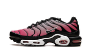 Nike Air Max Plus All Day 1