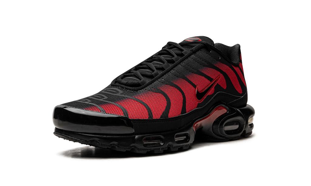 Nike Air Max Plus Bred Reflective 5