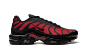 Nike Air Max Plus Bred Reflective 7