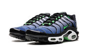 Nike Air Max Plus Icons 3