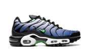 Nike Air Max Plus Icons 7