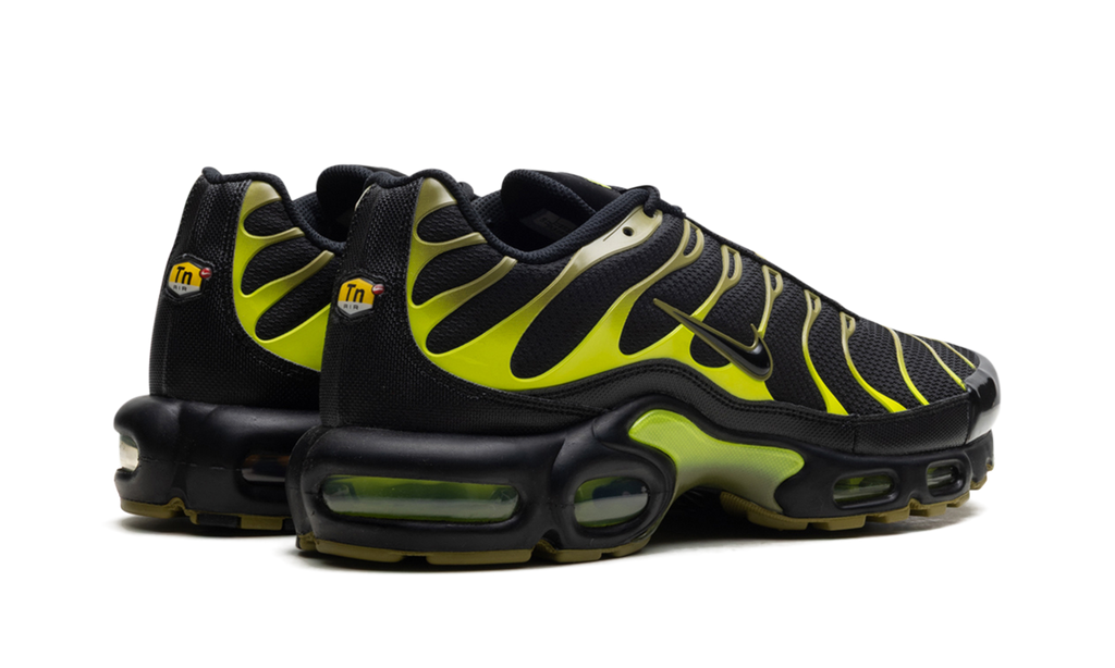 Nike Air Max Plus Pacific Moss 4