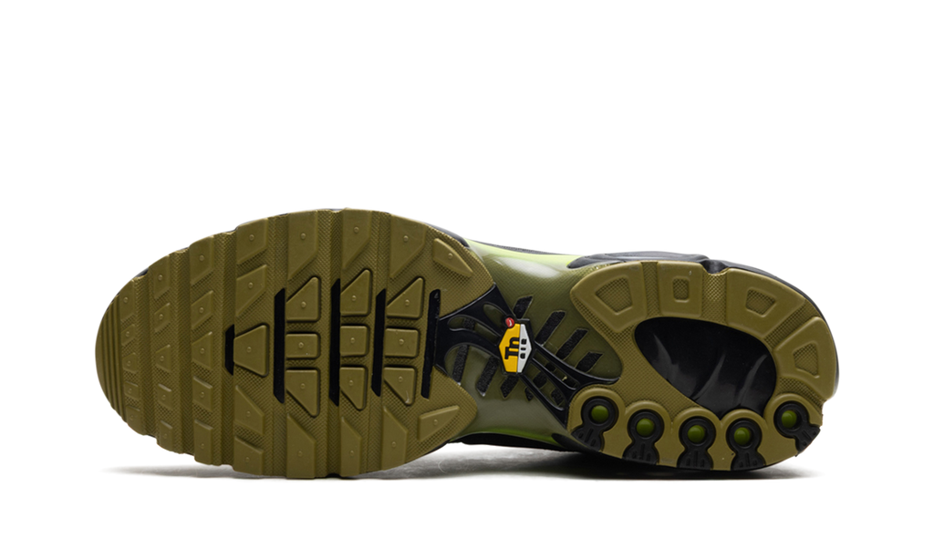 Nike Air Max Plus Pacific Moss 6