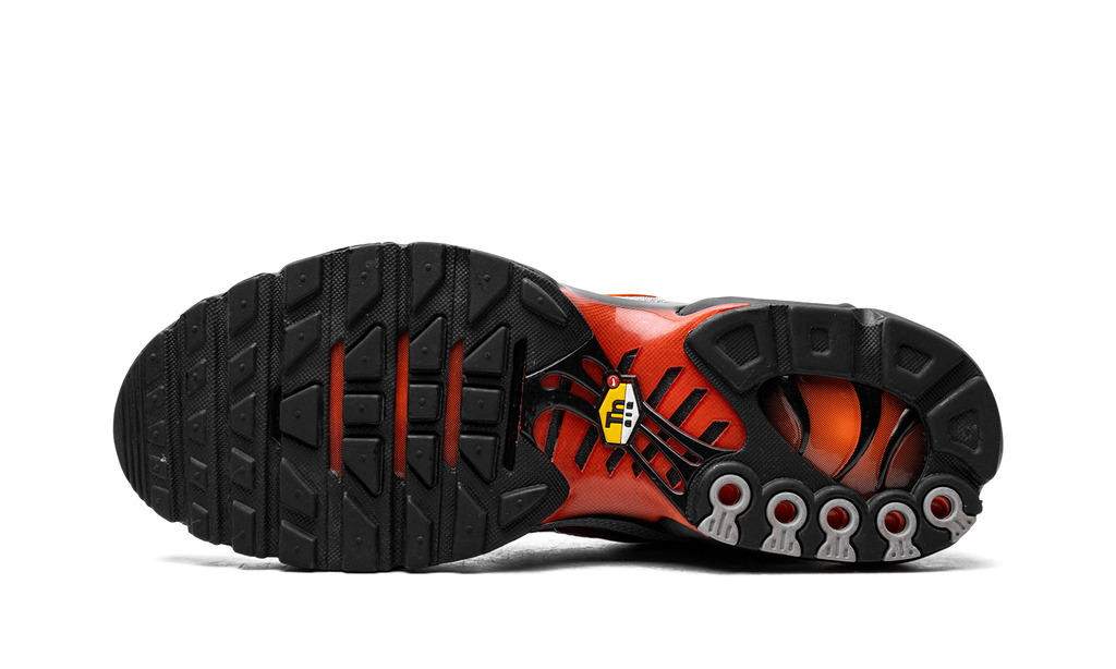 Nike Air Max Plus Wolf Grey Picante Red 6