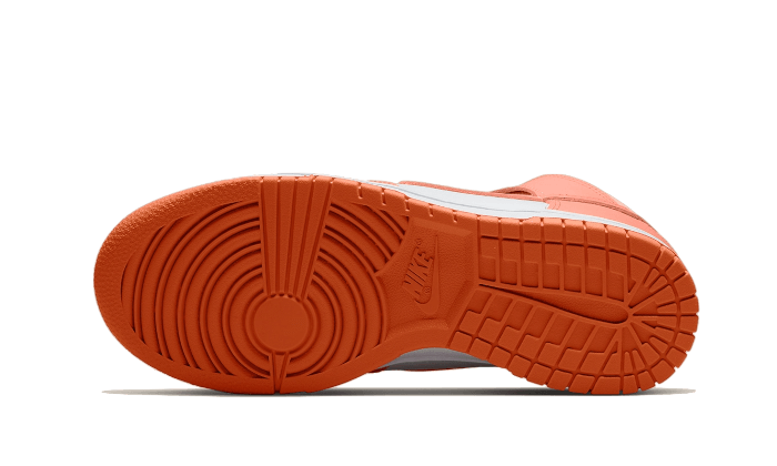 Nike Dunk High Salmon Gray 6