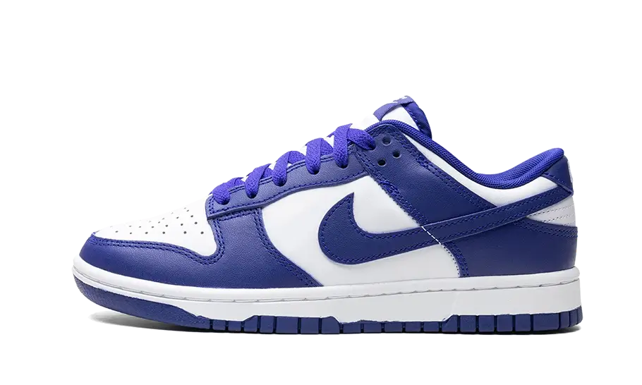 Nike Dunk Low Concord 5