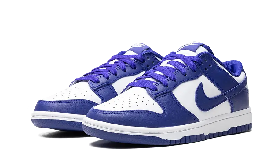 Nike Dunk Low Concord 6
