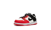 Nike Dunk Low EMB NBA 75th Anniversary Chicago (TD) 5