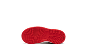 Nike Dunk Low EMB NBA 75th Anniversary Chicago (TD) 6