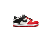 Nike Dunk Low EMB NBA 75th Anniversary Chicago (TD) 7