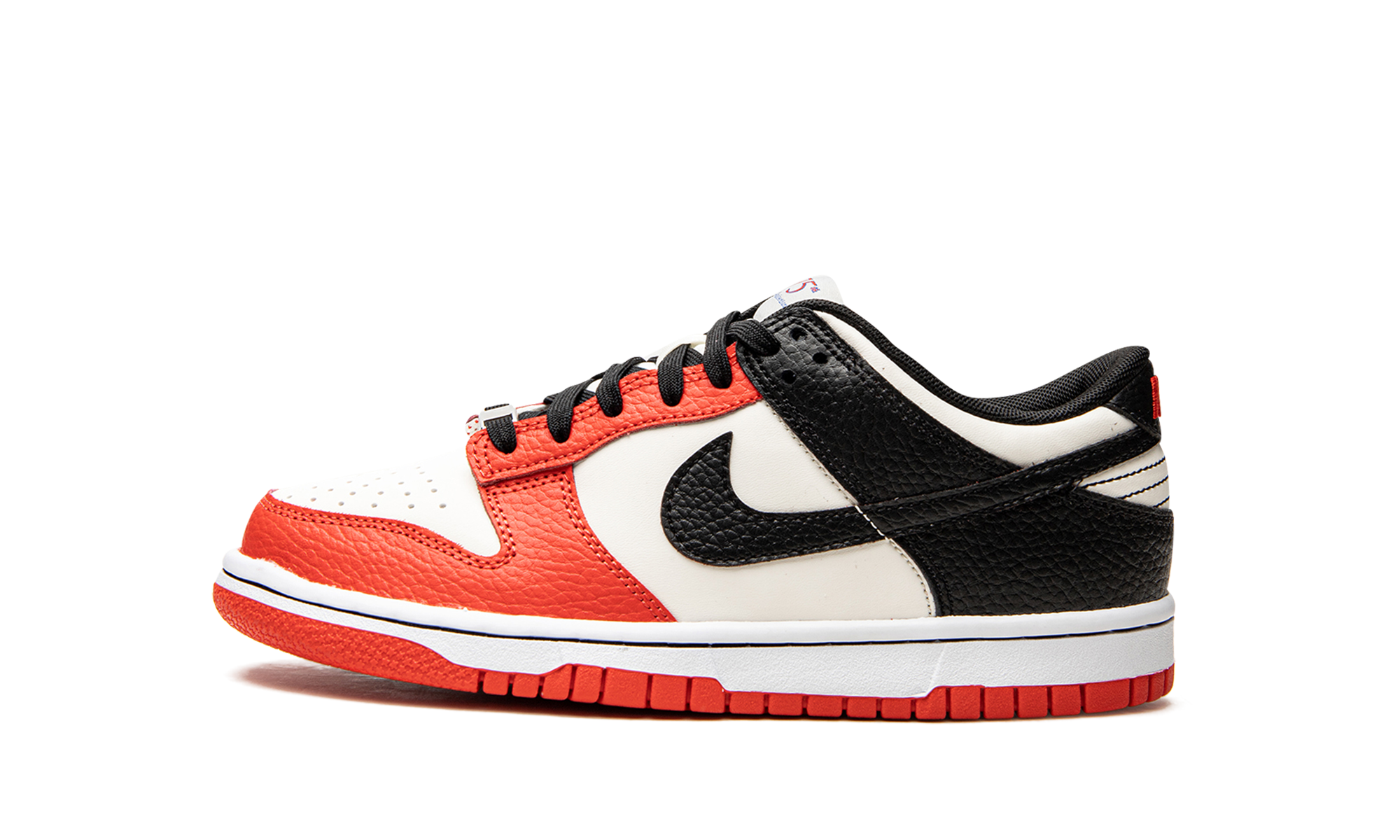 Nike Dunk Low EMB NBA 75th Anniversary (GS) 1