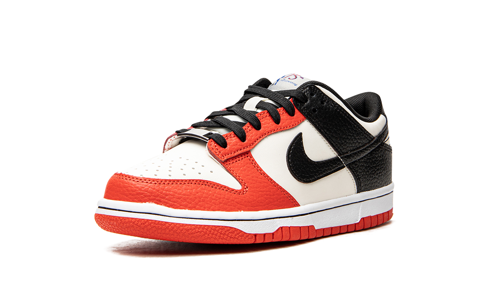 Nike Dunk Low EMB NBA 75th Anniversary (GS) 5