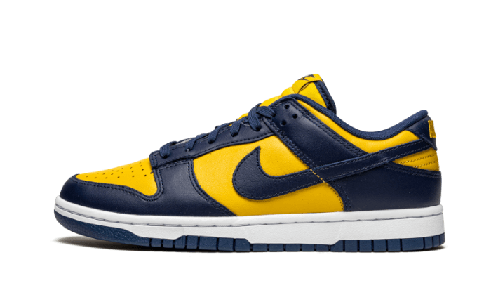 Nike Dunk Low Michigan 5