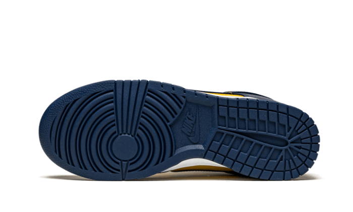 Nike Dunk Low Michigan 8