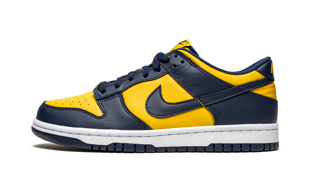 Nike Dunk Low Michigan (GS) 2