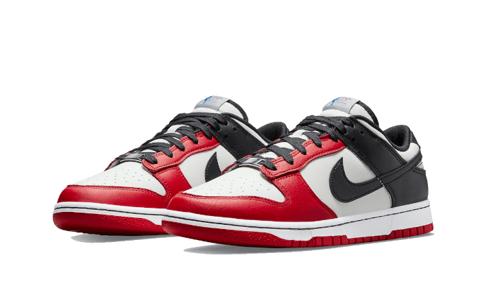 Nike Dunk Low NBA 75th Anniversary Chicago Bulls 2