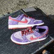 Nike Dunk Low Plum 5