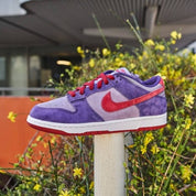 Nike Dunk Low Plum 7
