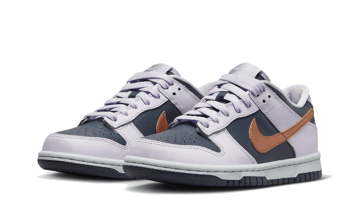Nike Dunk Low Se Copper Swoosh 5