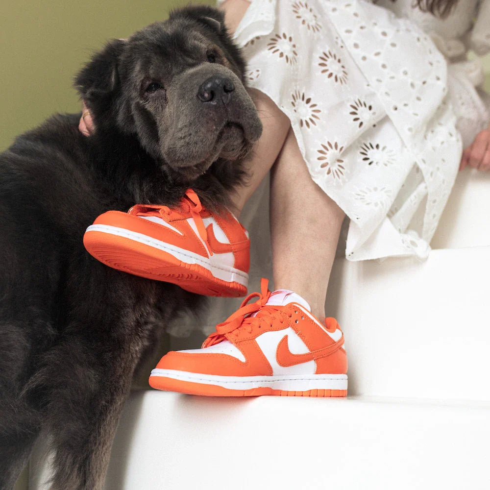 Nike Dunk Low SP Orange Blaze (Syracuse) 5