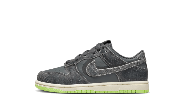 Nike Dunk Low Swoosh Shadow Iron Gray 4