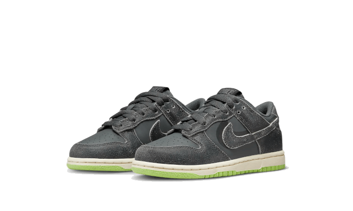 Nike Dunk Low Swoosh Shadow Iron Gray 5