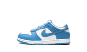 Nike Dunk Low UNC 2021 PS 1