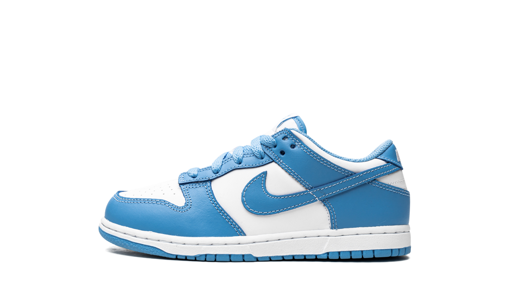 Nike Dunk Low UNC 2021 PS 2