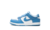 Nike Dunk Low UNC 2021 PS 2