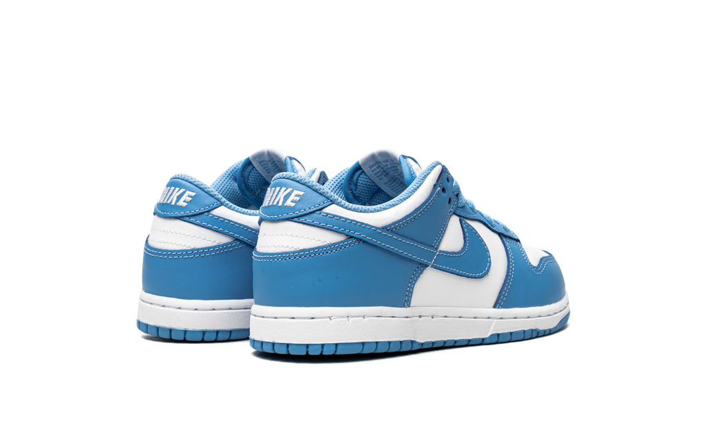 Nike Dunk Low UNC 2021 PS 4