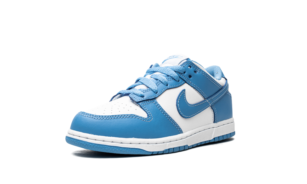 Nike Dunk Low UNC 2021 PS 5