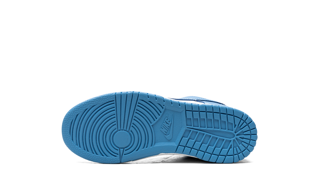 Nike Dunk Low UNC 2021 PS 6