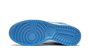 Nike Dunk Low UNC